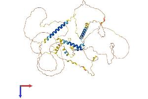SLAIN2 Protein (AA 1-581) (His tag)