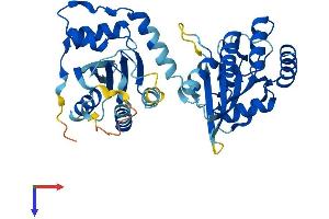 APOBEC3D Protein (AA 1-386) (His tag)