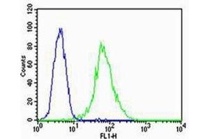 Flow Cytometry (FACS) image for anti-Fms-Related Tyrosine Kinase 4 (FLT4) antibody (ABIN3030977)