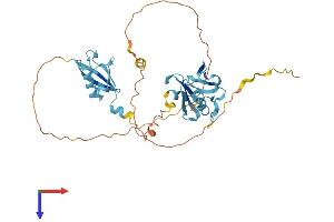 UBFD1 Protein (AA 1-368) (His tag)