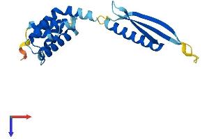 COMMD1 Protein (AA 1-188) (His tag)