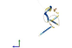 AlphaFold protein structure predicition of Human Recombinant CDR2 Protein, UniprotID Q01850 (CDR2 Protein (AA 1-454) (His tag))