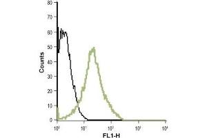 Cell surface detection of LTB4R in live intact human promyelocytic leukemia HL-60 cell line: (black line) Unstained HL-60 cells (green line) HL-60 cells + Anti-Human BLT1 (extracellular)- ATTO-488 Antibody (ABIN7043308), (1:20). (Leukotriene B4 Receptor/BLT Antikörper  (2nd Extracellular Loop) (Atto 488))