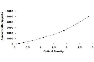 Sp1 Transcription Factor (SP1) ELISA Kit