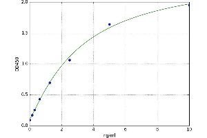 Parathyroid Hormone 2 Receptor (PTH2R) ELISA Kit