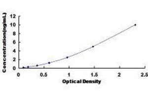 Dual Oxidase 2 (DUOX2) ELISA Kit