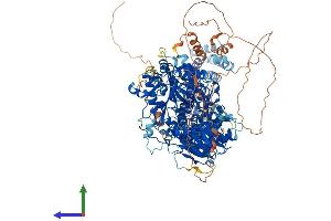 Protein Structure (PS) image for ATP/GTP Binding Protein 1 (AGTPBP1) (AA 1-1218) protein (His tag) (ABIN7563981)