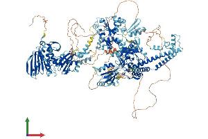 Protein Structure (PS) image for Topoisomerase (DNA) II alpha 170kDa (TOP2A) (AA 1-1528) protein (His tag) (ABIN7563577)