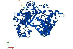 Protein Structure (PS) image for SET and MYND Domain Containing 2a (SMYD2A) (AA 1-433) protein (His tag) (ABIN7559777)