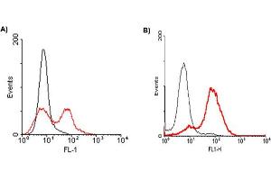 A) FACS: Mouse CD137-transfected HEK 293 cells were stained significantly using anti-CD137 (mouse), mAb (M4173) .