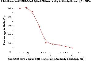 Immobilized Human ACE2, His Tag (ABIN6952641) at 2 μg/mL (100 μL/well) can bind pre-mixed increasing concentrations of Anti-SARS-CoV-2 Neutralizing Antibody, Mouse IgG1 (ABIN6953206) and 0. (SARS-CoV-2 Spike S1 Antikörper)
