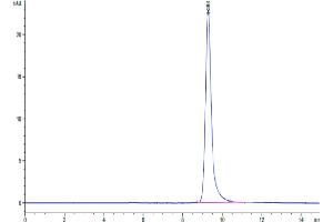 Size-exclusion chromatography-High Pressure Liquid Chromatography (SEC-HPLC) image for Plasminogen Activator Inhibitor 1 (SERPINE1) (AA 24-402) protein (His tag) (ABIN7275401)
