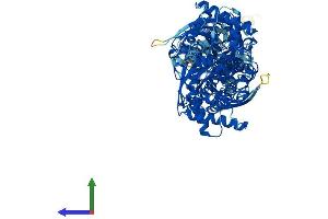 Protein Structure (PS) image for Hexokinase 2 (HK2) (AA 1-917) protein (His tag) (ABIN7548361)