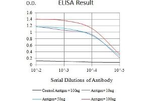 Black line: Control Antigen (100 ng),Purple line: Antigen (10 ng), Blue line: Antigen (50 ng), Red line:Antigen (100 ng) (LRP8 Antikörper  (AA 42-182))