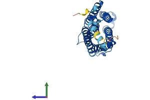 Protein Structure (PS) image for Cytochrome B-561 (CYB561) (AA 1-251) protein (His tag) (ABIN7546893)