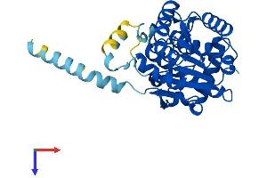 RDH12 Protein (AA 1-316) (His tag)