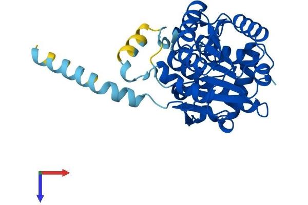 RDH12 Protein (AA 1-316) (His tag)