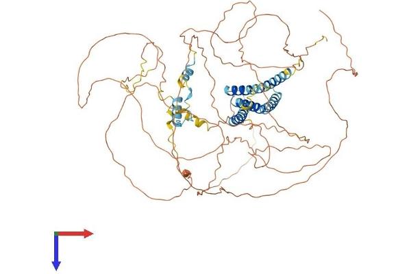 CEP68 Protein (AA 1-733) (His tag)
