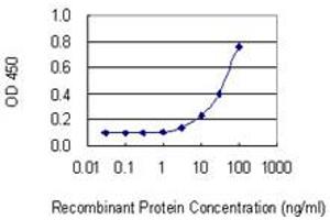 Detection limit for recombinant GST tagged THG1L is 1 ng/ml as a capture antibody.