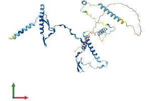 Protein Structure (PS) image for RRS1 Ribosome Biogenesis Regulator (RRS1) (AA 1-365) protein (His tag) (ABIN7551565)