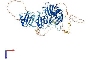 HNRPLL Protein (AA 1-542) (His tag)