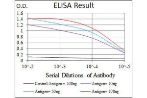ELISA image for anti-Activated Leukocyte Cell Adhesion Molecule (ALCAM) (AA 48-216) antibody (ABIN1846222) (CD166 Antikörper  (AA 48-216))