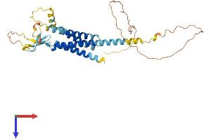 AlphaFold protein structure predicition of Human Recombinant CACNG2 Protein, UniprotID Q9Y698 (Stargazin Protein (AA 1-323) (His tag))