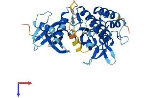 PDIK1L Protein (AA 1-341) (His tag)
