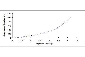 Typical standard curve (Biglycan ELISA Kit)