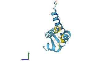 Protein Structure (PS) image for S100 Calcium Binding Protein A13 (S100A13) (AA 1-98) protein (His tag) (ABIN7551675)