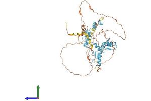 Protein Structure (PS) image for FEZ Family Zinc Finger 1 (FEZF1) (AA 1-475) protein (His tag) (ABIN7556951)