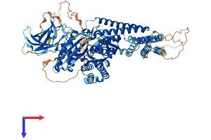 INPP4B Protein (AA 1-924) (His tag)