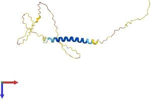 CD235a/GYPA Protein (AA 1-168) (His tag)