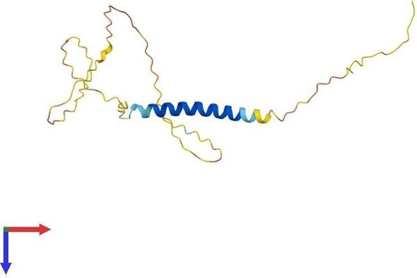 CD235a/GYPA Protein (AA 1-168) (His tag)