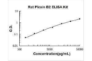 Plexin B2 (PLXNB2) ELISA Kit