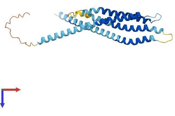 ORAI2 Protein (AA 1-250) (His tag)