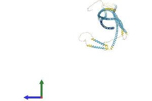 AlphaFold protein structure predicition of Mouse Recombinant Ccdc150 Protein, UniprotID Q8CDI7