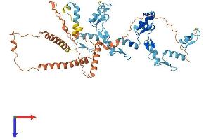 AlphaFold protein structure predicition of Human Recombinant ZNF286A Protein, UniprotID Q9HBT8