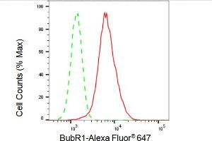 Flow cytometric analysis of BubR1 expression in HepG2 cells using BubR1 antibody (ABIN7797805), 1:2,000). (Rekombinanter BUB1B Antikörper)