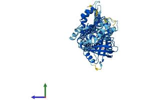 AlphaFold protein structure predicition of Human Recombinant NOX1 Protein, UniprotID Q9Y5S8