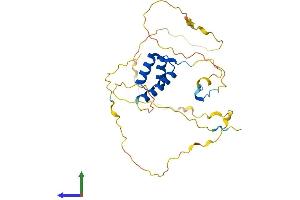 Protein Structure (PS) image for Homeobox A4 (HOXA4) (AA 1-285) protein (His tag) (ABIN7562748)