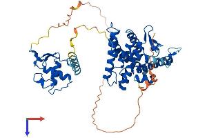 NR1H3 Protein (AA 1-447) (His tag)