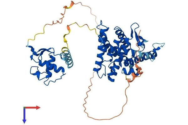 NR1H3 Protein (AA 1-447) (His tag)