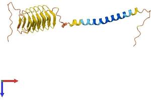 KRTAP5-7 Protein (AA 1-196) (His tag)