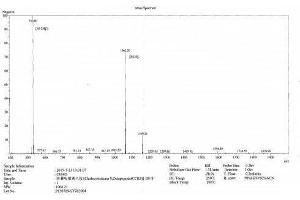 Image no. 2 for Cholecystokinin 8, Octapeptide (CCK8) peptide (BSA) (ABIN5665953) (Cholecystokinin 8, Octapeptide (CCK8) peptide (BSA))