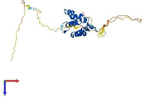 EDARADD Protein (AA 1-215) (His tag)