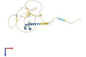 NKX6-1 Protein (AA 1-367) (His tag)