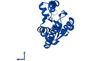 Protein Structure (PS) image for RNA Polymerase II TBP-Associated Factor Subunit G (TAF9) (AA 1-172) protein (His tag) (ABIN7559826)