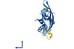 AlphaFold protein structure predicition of Mouse Recombinant Kctd21 Protein, UniprotID Q3URF8