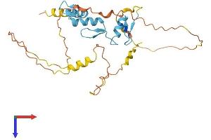 OSR1 Protein (AA 1-266) (His tag)